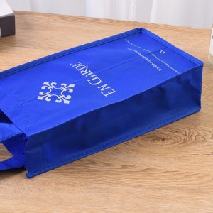 BT-0073 Promotional Eco-Friendly Non Woven handle bag 2 Bottle