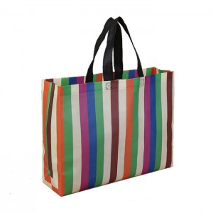 BT-0081 Custom PP Woven Shopping Bags