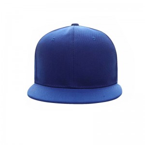 AC-0240 flat brim 6 panel caps with logo