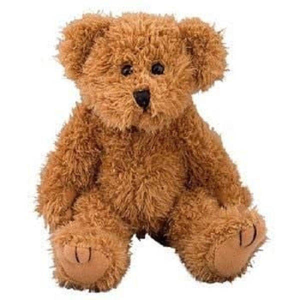 Custom brown teddy bear