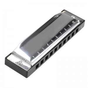 TN-0016 Custom Engraved 10 Holes Harmonica