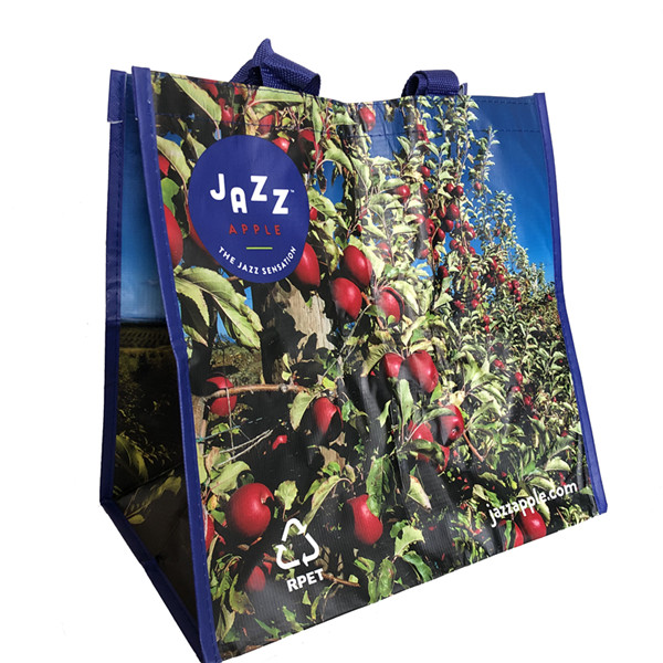 BT-0017 Promotional rpet laminated bags