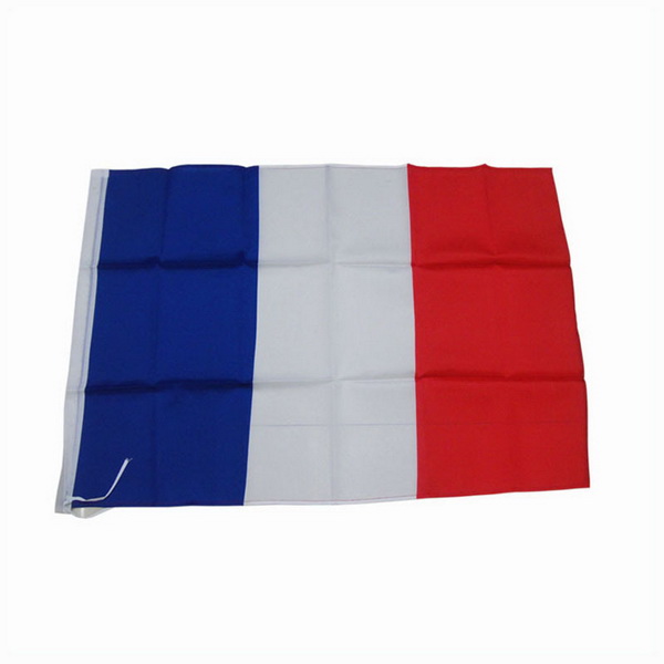 LO-0329 Custom hand held flags without flag poles