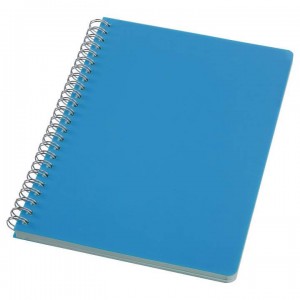 Wholesale OEM China Spiral Notebook of Office Supply Fsc Certificate Disney Authorized Vendor