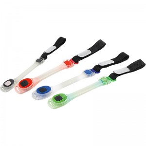 HP-0106 Custom Led Bra Band