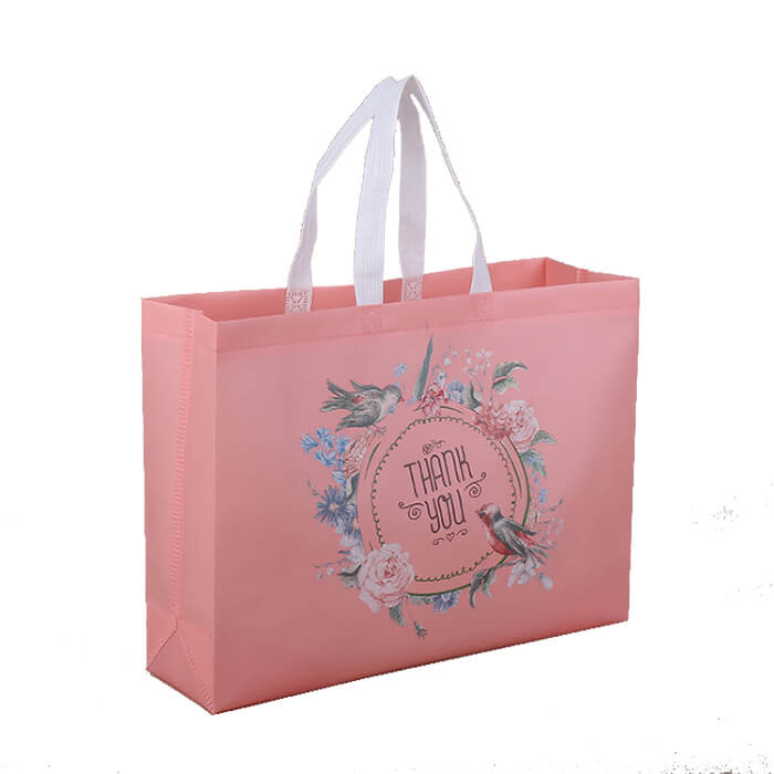 BT-0081 Custom PP Woven Shopping Bags Featured Image