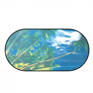 AM-0013 Budget Printed Rear Window Shades