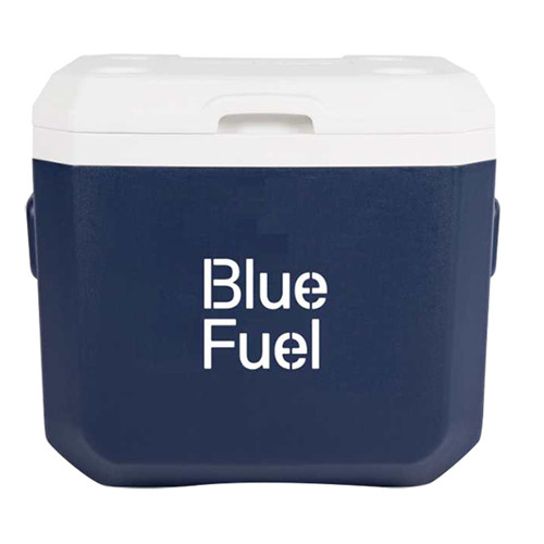 BT-0109 Promotional portable cooler box