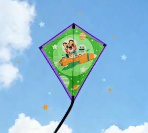 TN-0230 Promotional Diamond-shaped Kites