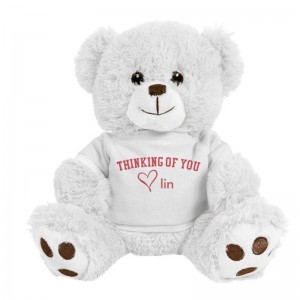 TN-0165  mascot stuffed animals with printed T-shirt